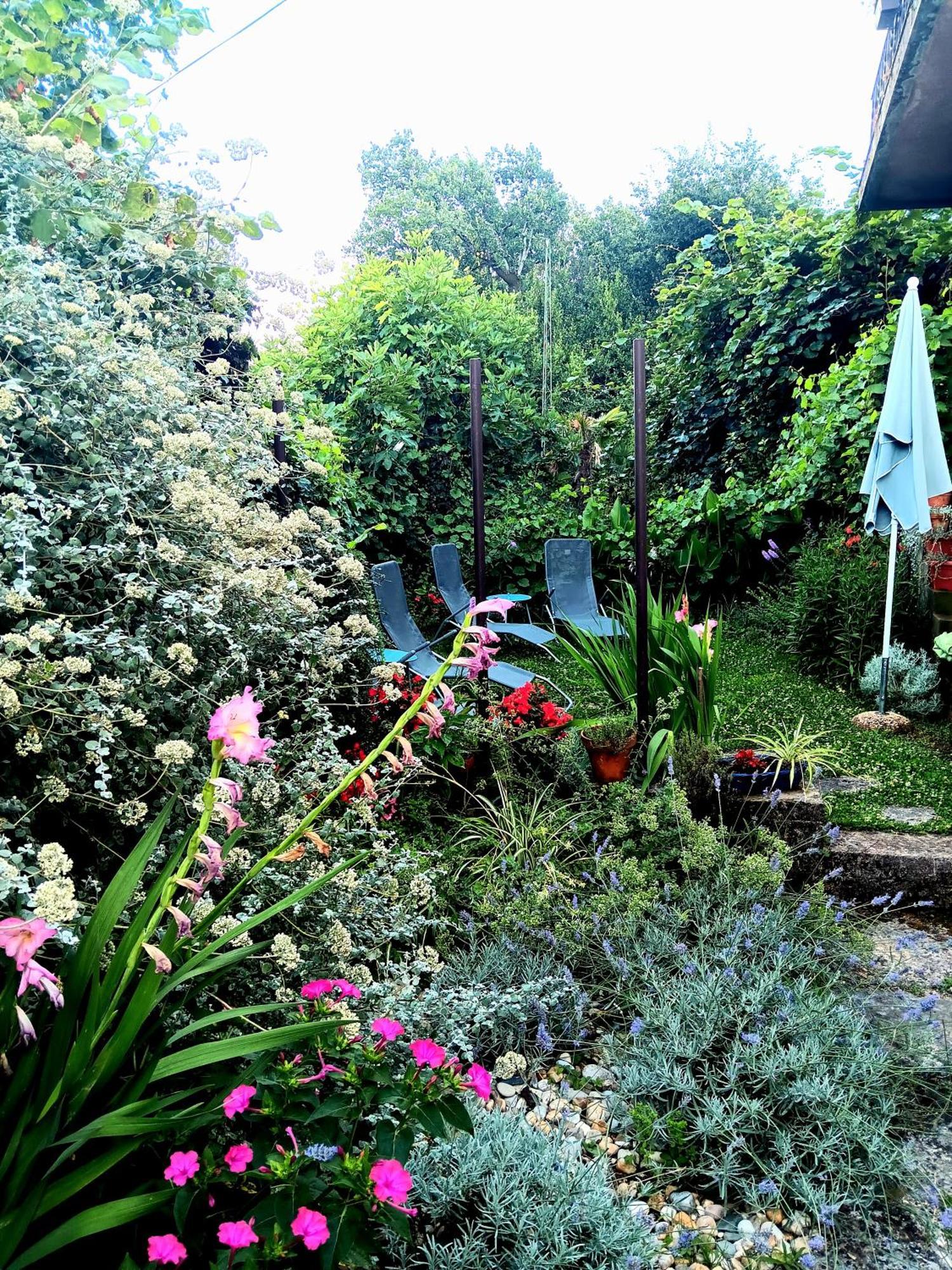 Apartment Sea Garden อิตชิชี ภายนอก รูปภาพ